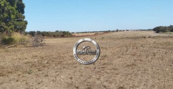 FAZENDA 201 HEC A VENDA EM PARANATINGA MT (4)