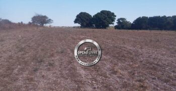 FAZENDA 201 HEC A VENDA EM PARANATINGA MT (5)