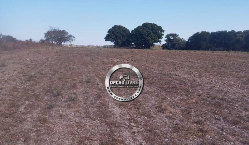 FAZENDA COM 201 HECTARES A VENDA EM PARANATINGA – MT