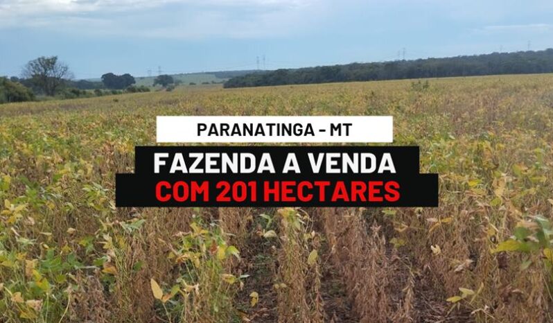 FAZENDA COM 201 HECTARES A VENDA EM PARANATINGA – MT