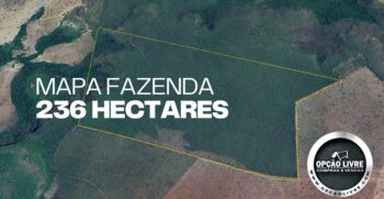 FAZENDA 236 HECTARES (1)