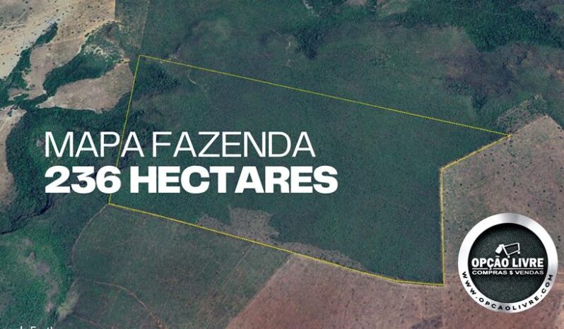 FAZENDA COM 236 HECTARES A VENDA EM POXORÉU – MT