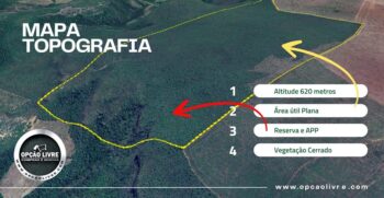 FAZENDA 236 HECTARES (2)