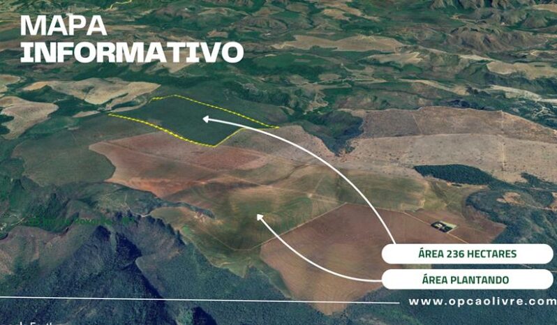 FAZENDA COM 236 HECTARES A VENDA EM POXORÉU – MT