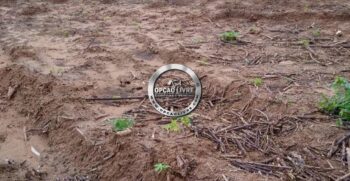 fazenda 338 hectares a venda em novo são joaquim MT (1)