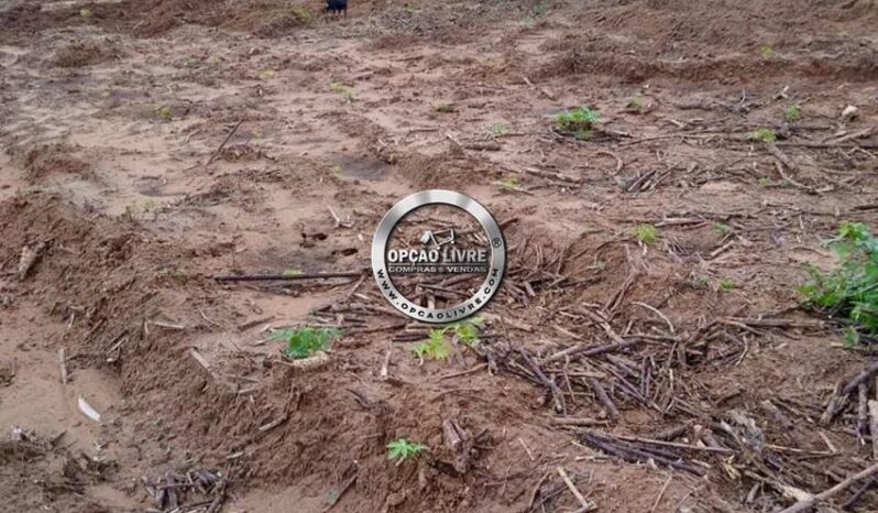 FAZENDA COM 338 HECTARES A VENDA EM NOVO SÃO JOAQUIM – MT