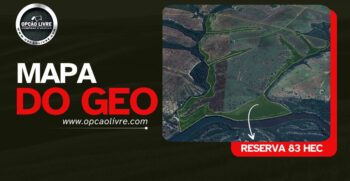 fazenda 338 hectares a venda em novo são joaquim MT (19)