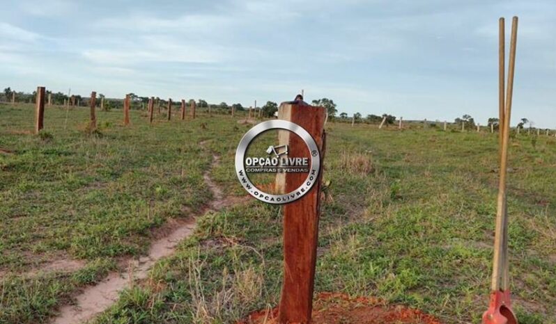 FAZENDA COM 338 HECTARES A VENDA EM NOVO SÃO JOAQUIM – MT
