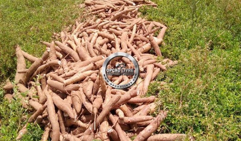 FAZENDA COM 338 HECTARES A VENDA EM NOVO SÃO JOAQUIM – MT