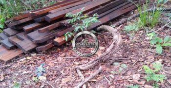 fazenda 338 hectares a venda em novo são joaquim MT (9)