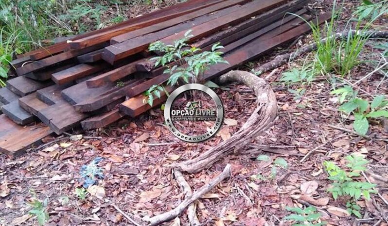 FAZENDA COM 338 HECTARES A VENDA EM NOVO SÃO JOAQUIM – MT