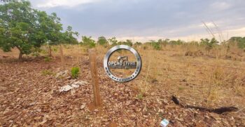 fazenda 985 hectares a venda em paranatinga MT para pecuaria e lavoura (1)