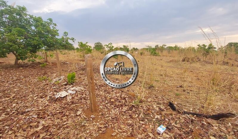 FAZENDA COM 985 HECTARES A VENDA EM PARANATINGA – MT