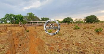 fazenda 985 hectares a venda em paranatinga MT para pecuaria e lavoura (3)