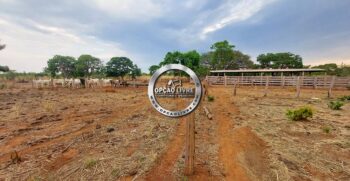 fazenda 985 hectares a venda em paranatinga MT para pecuaria e lavoura (4)