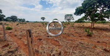 fazenda 985 hectares a venda em paranatinga MT para pecuaria e lavoura (5)