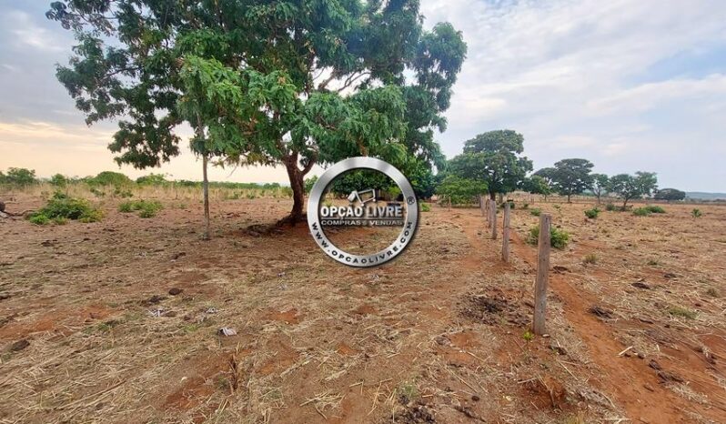 FAZENDA COM 985 HECTARES A VENDA EM PARANATINGA – MT