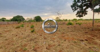 fazenda 985 hectares a venda em paranatinga MT para pecuaria e lavoura (7)