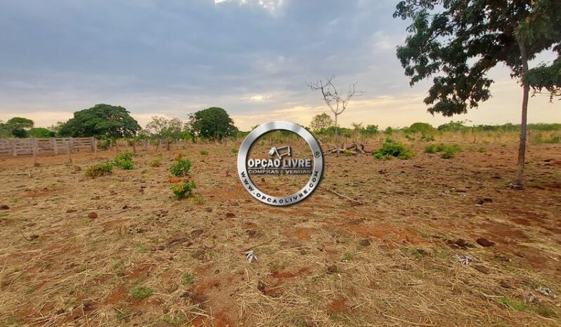 FAZENDA COM 985 HECTARES A VENDA EM PARANATINGA – MT