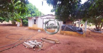 fazenda 985 hectares a venda em paranatinga MT para pecuaria e lavoura (8)