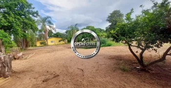 chacara 3.7 hectares (15)