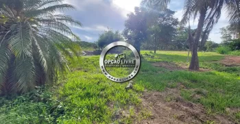 chacara 3.7 hectares (16)