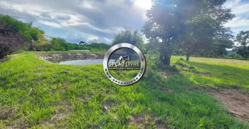 chacara 3.7 hectares (17)