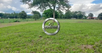 chacara 3.7 hectares (2)