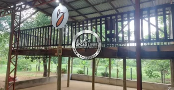 chacara 3.7 hectares (9)