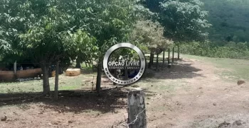 sitio 30 hectares (15)