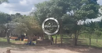 sitio 30 hectares (7)