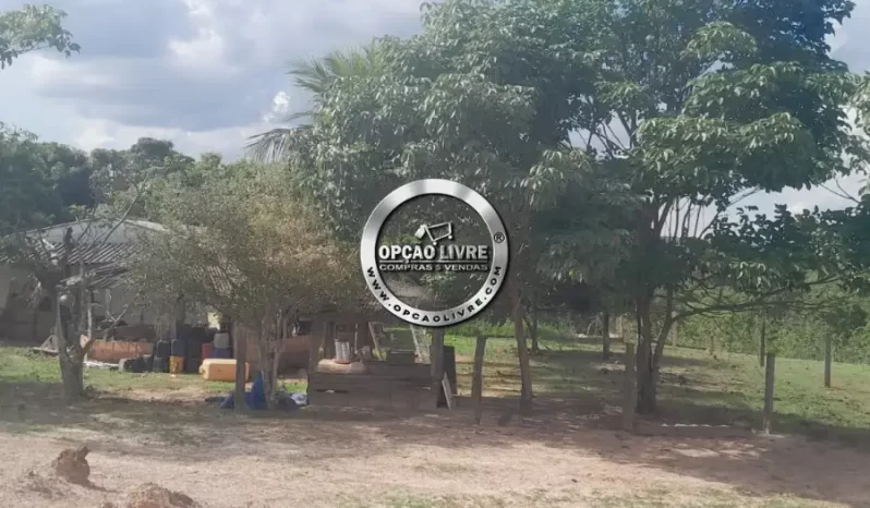 SITIO COM 32 HECTARES A VENDA EM PRIMAVERA DO LESTE – MT