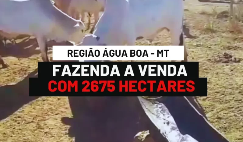 FAZENDA COM 2675 HECTARES A VENDA EM AGUA BOA – MT
