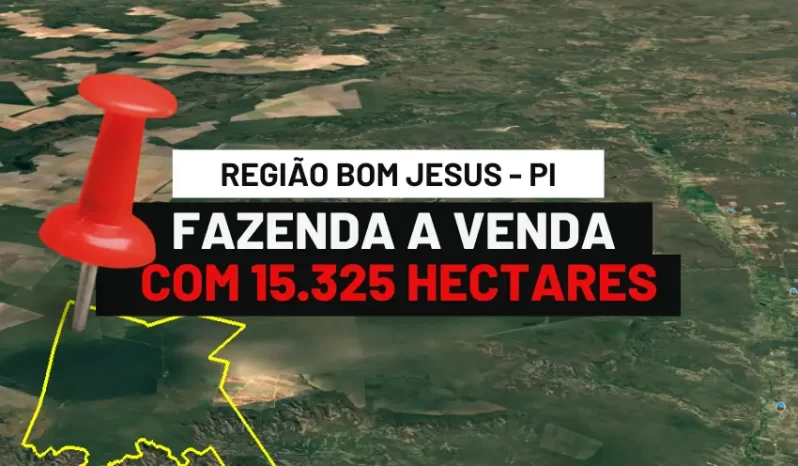 FAZENDA COM 15325 MIL HECTARES A VENDA NO PIAUI