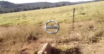 FAZENDA 2675 HECTARES (1)