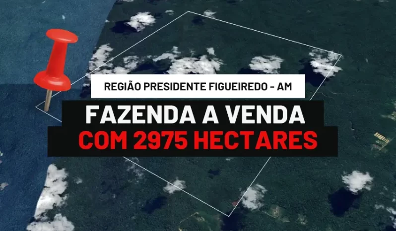 FAZENDA COM 2975 HECTARES A VENDA EM PRESIDENTE FIGUEIREDO – AM