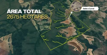 MAPA FAZENDA 2675 HEC