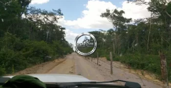 fazenda 15 mil hectares no piaui (1)