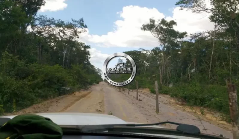 FAZENDA COM 15325 MIL HECTARES A VENDA NO PIAUI