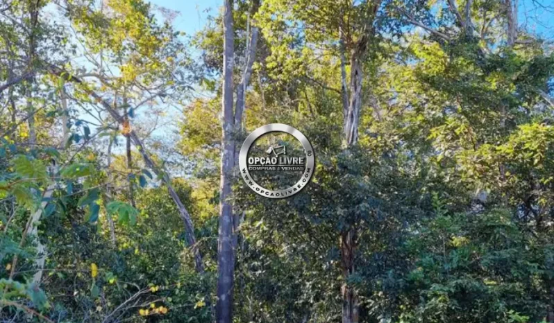 FAZENDA COM 15325 MIL HECTARES A VENDA NO PIAUI