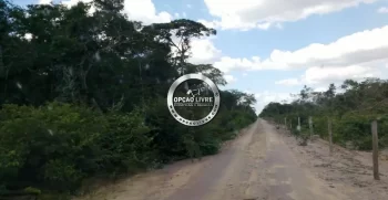 fazenda 15 mil hectares no piaui (5)