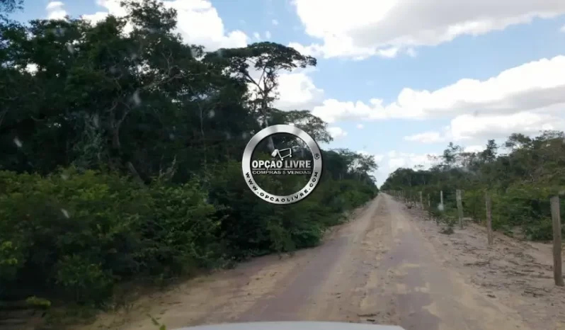 FAZENDA COM 15325 MIL HECTARES A VENDA NO PIAUI