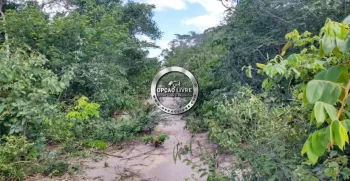 fazenda 15 mil hectares no piaui (6)