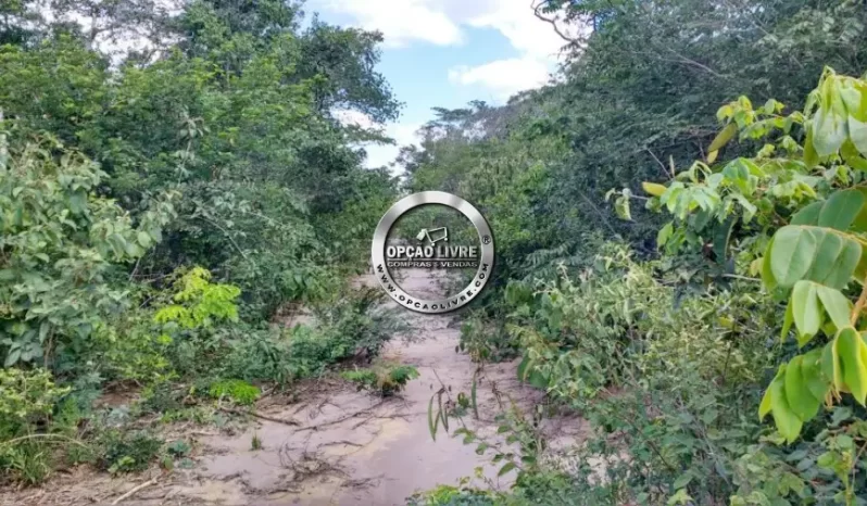 FAZENDA COM 15325 MIL HECTARES A VENDA NO PIAUI