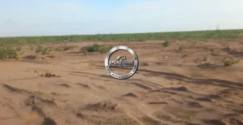 fazenda 15 mil hectares no piaui (8)