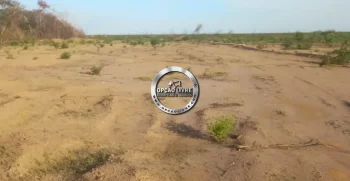 fazenda 15 mil hectares no piaui (9)