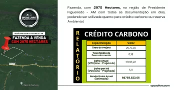 fazenda 2975 hectares para credito carbono no amazonas (1)