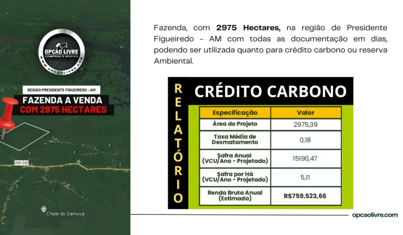 FAZENDA COM 2975 HECTARES A VENDA EM PRESIDENTE FIGUEIREDO – AM