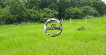 fazenda 800 hectares em paranatinga MT (1)