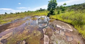 fazenda 800 hectares em paranatinga MT (11)